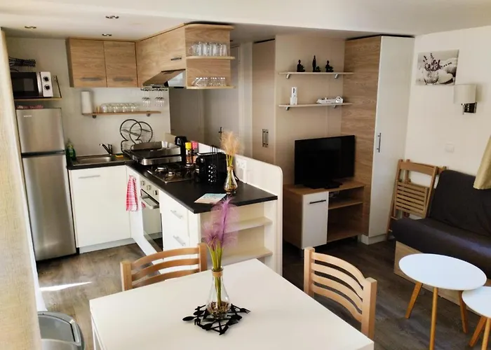 Mobil-home Vi 58 A - La Carabasse - Siblu Avec Piscine Payante Hébergement de vacances